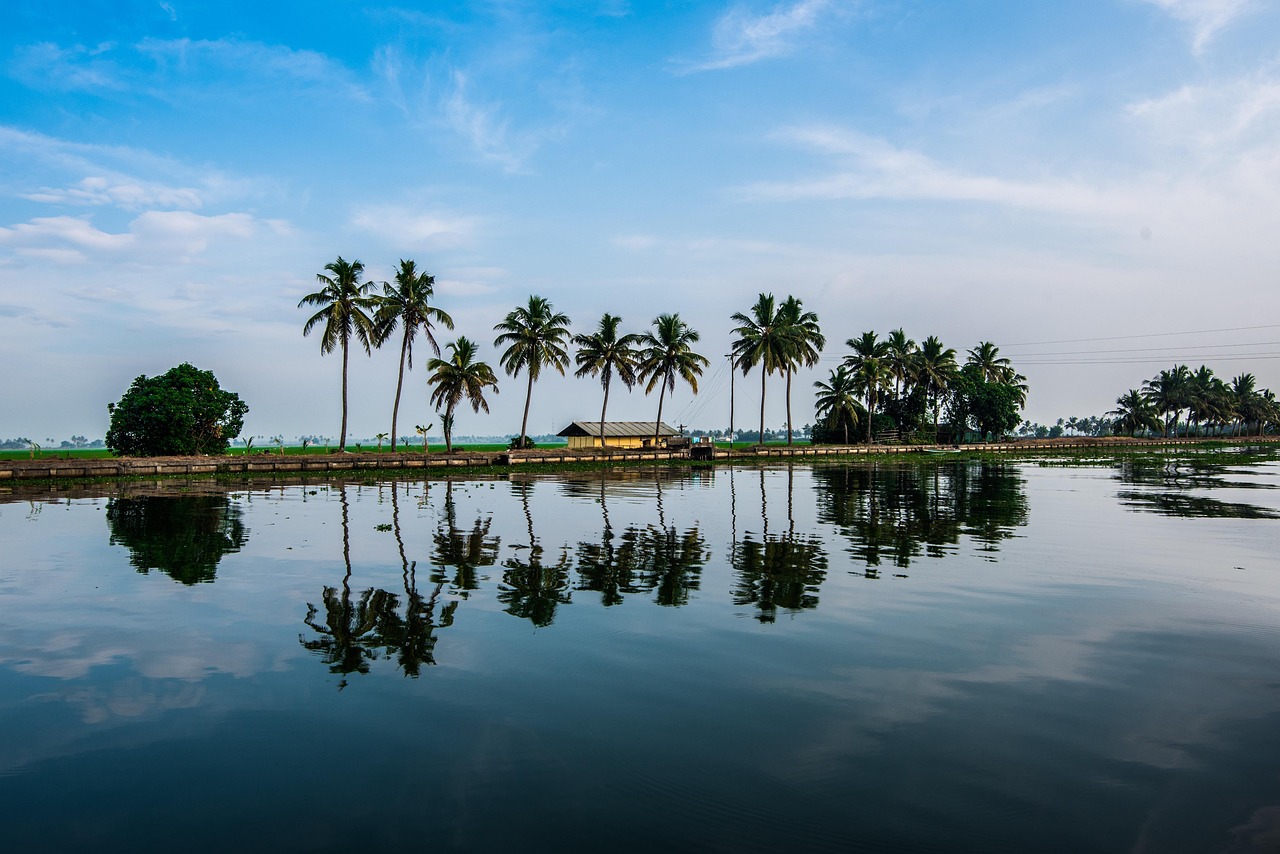 Backwaters of Alleppey (Alappuzha)