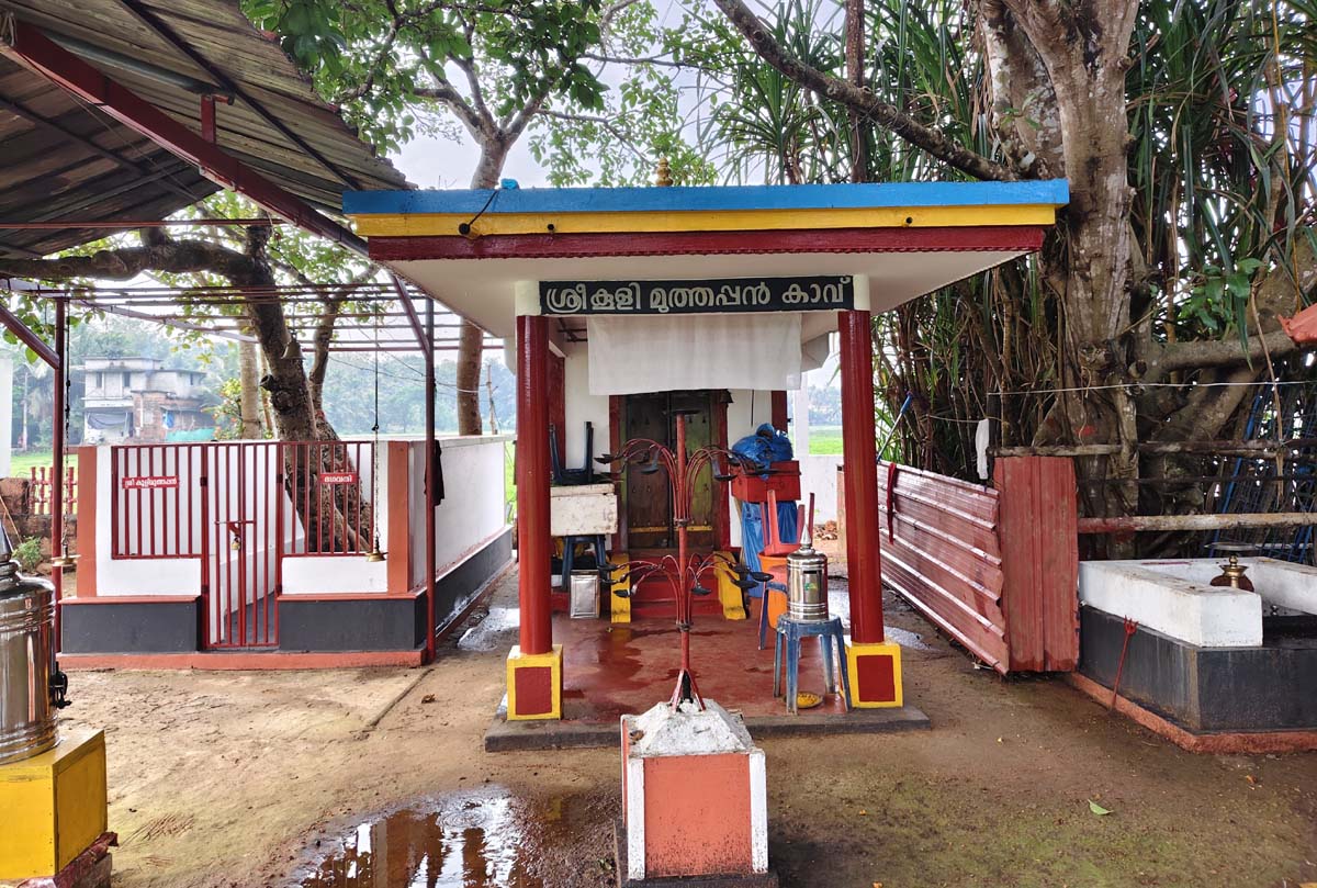 Koolikkavu Sacred Grove Temple in a Kerala Village – Community Conserved Forest Shrine