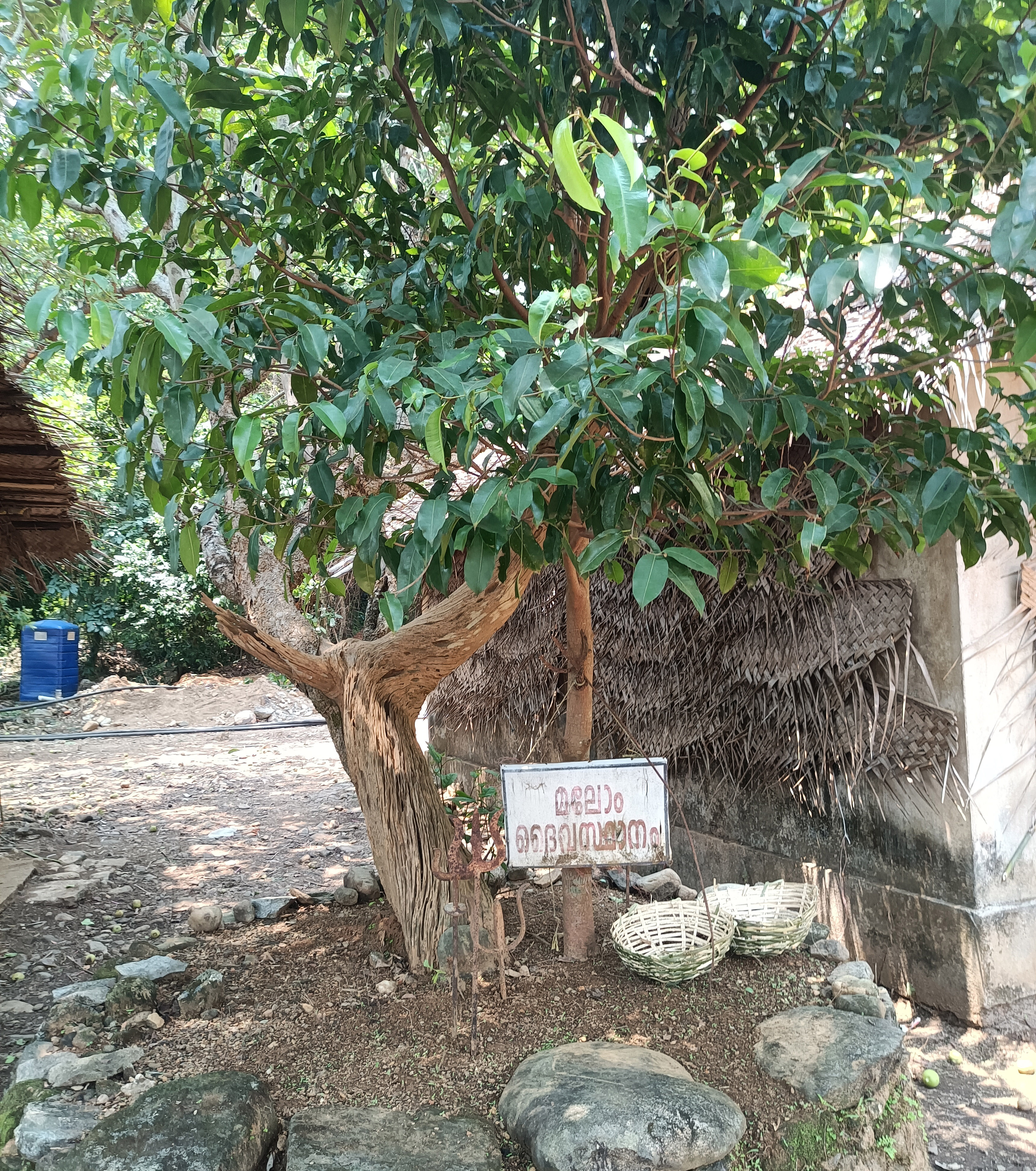 Kottiyur Temple Premises2