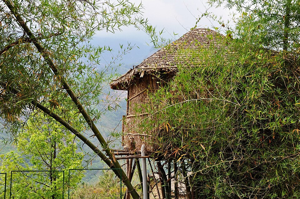 Mankulam forest landscape in Devikulam Idukki district Kerala — high-range Western Ghats forest with perennial waterfalls and elephant habitat managed by Mankulam Nature Appreciation Centre