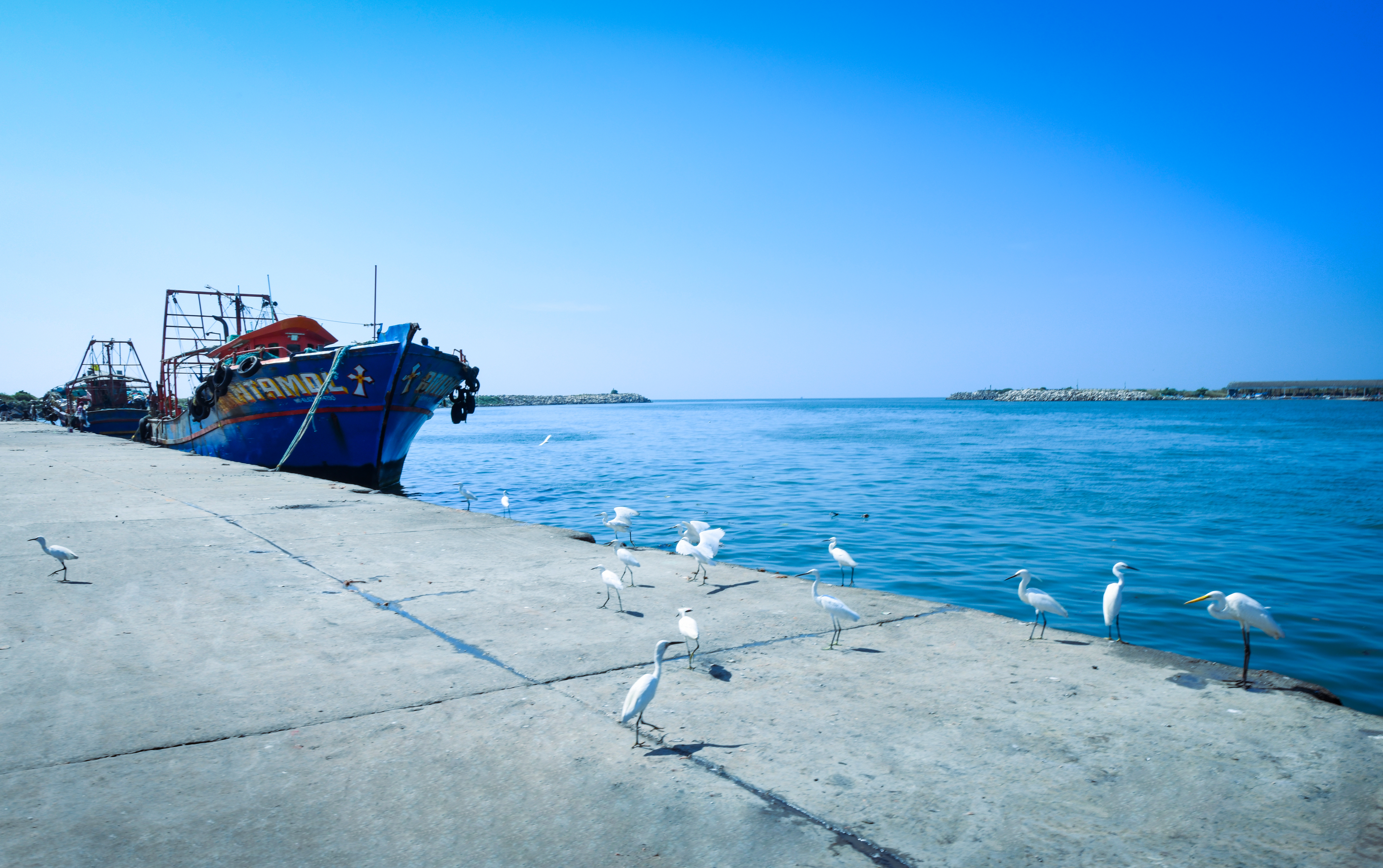 Neendakara beach Kollam Kerala — fishing harbour and Arabian Sea coastline at sunset