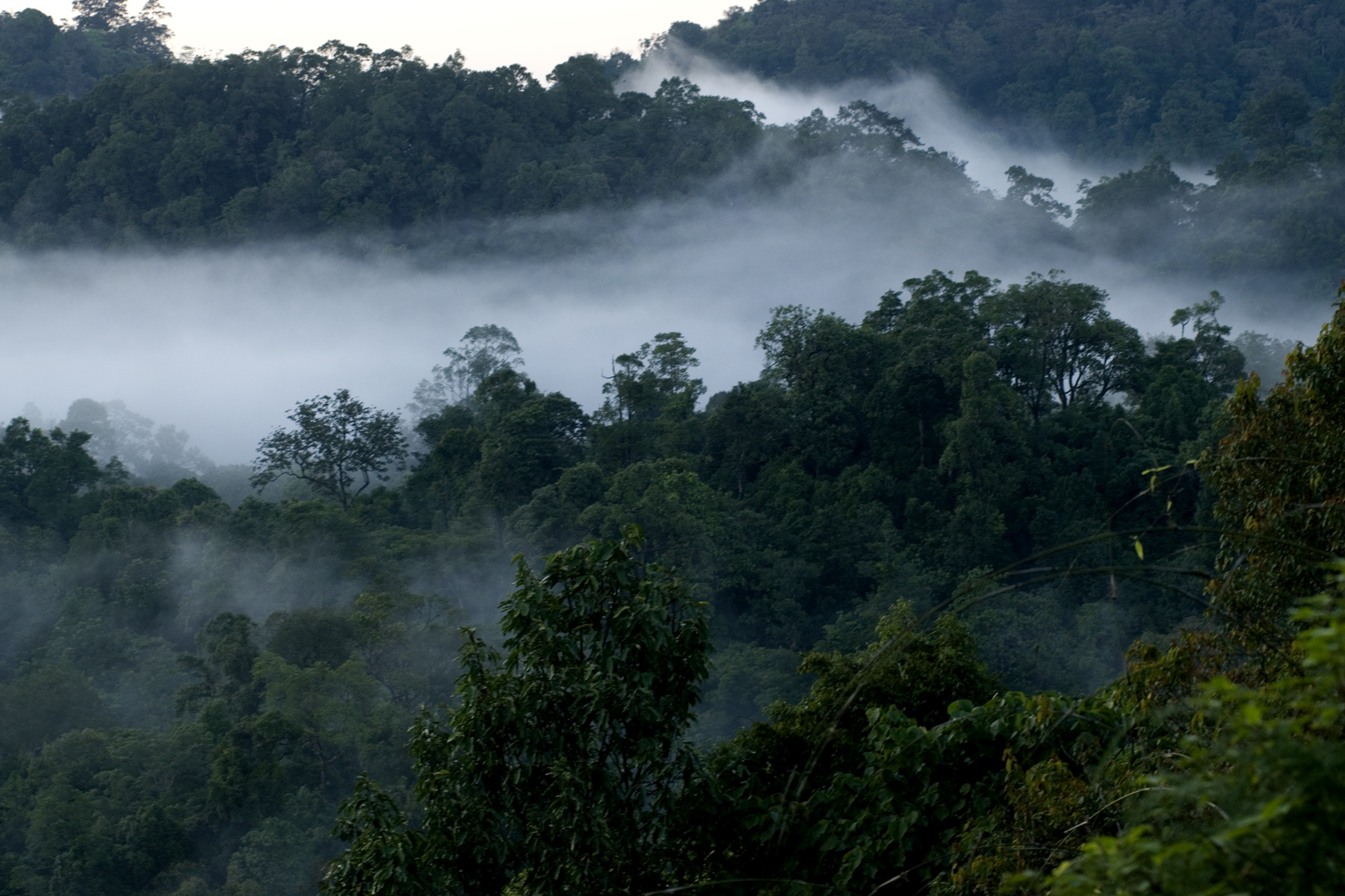Nelliyampathy Hills Kerala