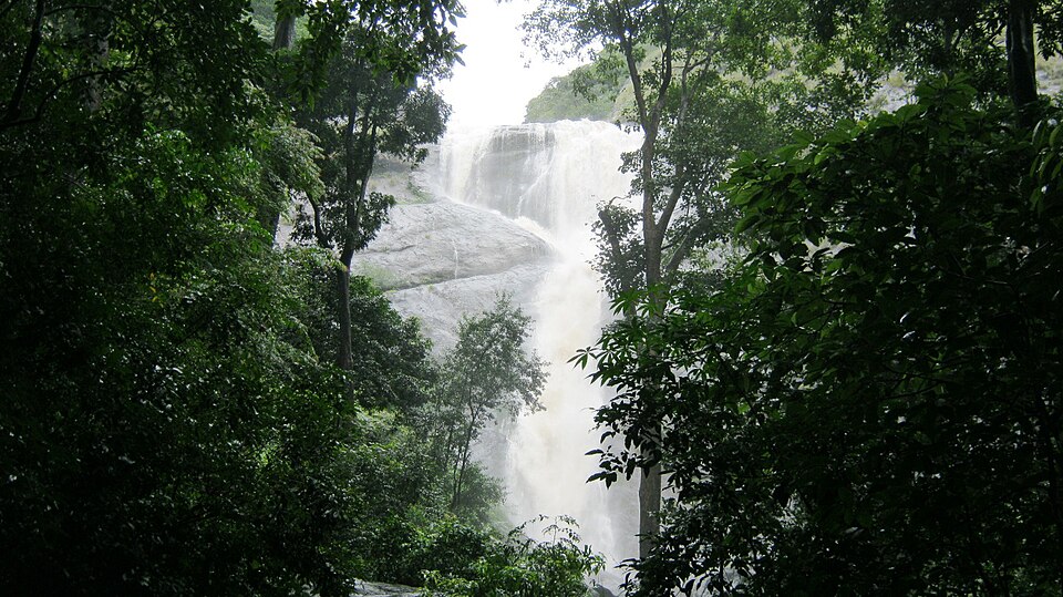 Palaruvi waterfall in Kollam district Kerala — VSS-managed eco-tourism waterfall in the Achencoil forest range attracting one lakh visitors annually with community kitchen serving traditional Arienkavu spice cuisine