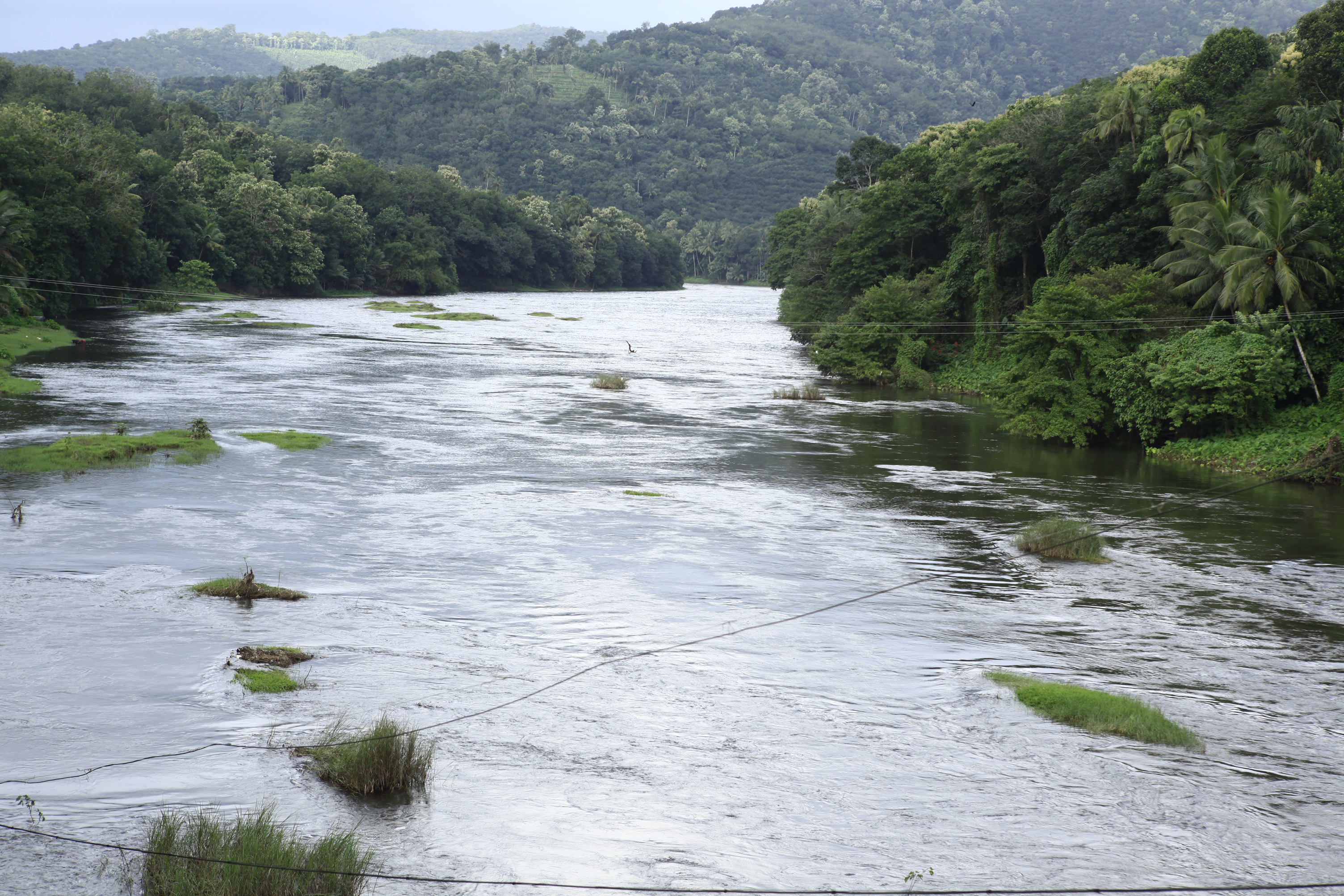 Pampa River flowing through lush greenery
