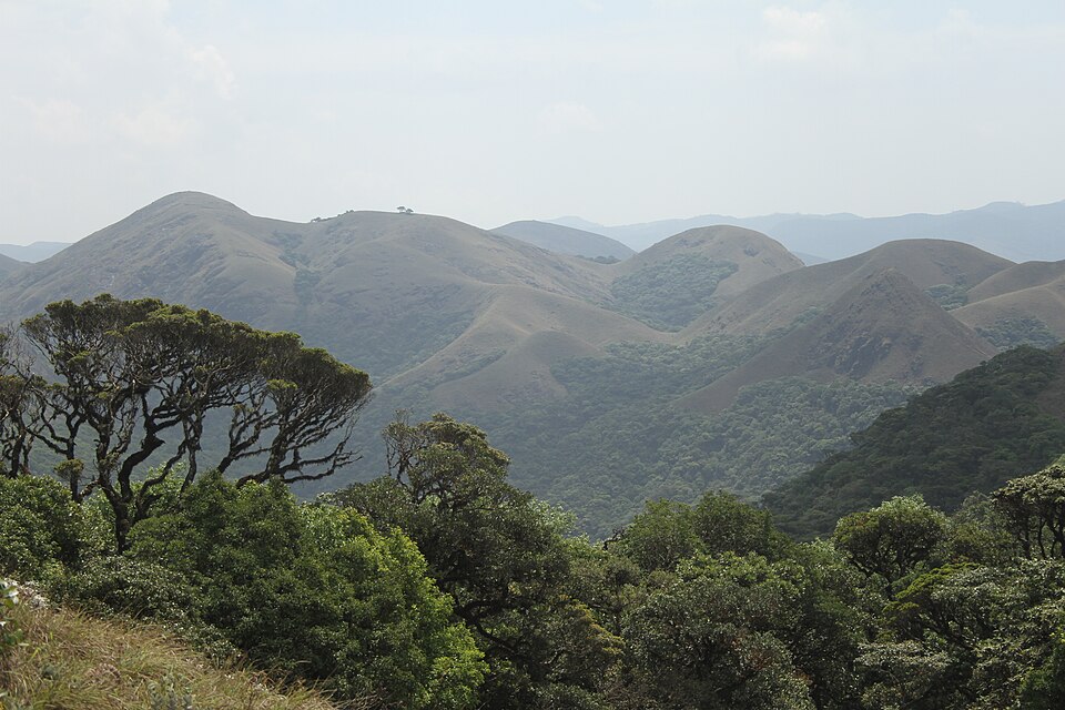 Silent Valley National Park undisturbed tropical rainforest Palakkad Kerala Western Ghats — pristine ancient forest canopy