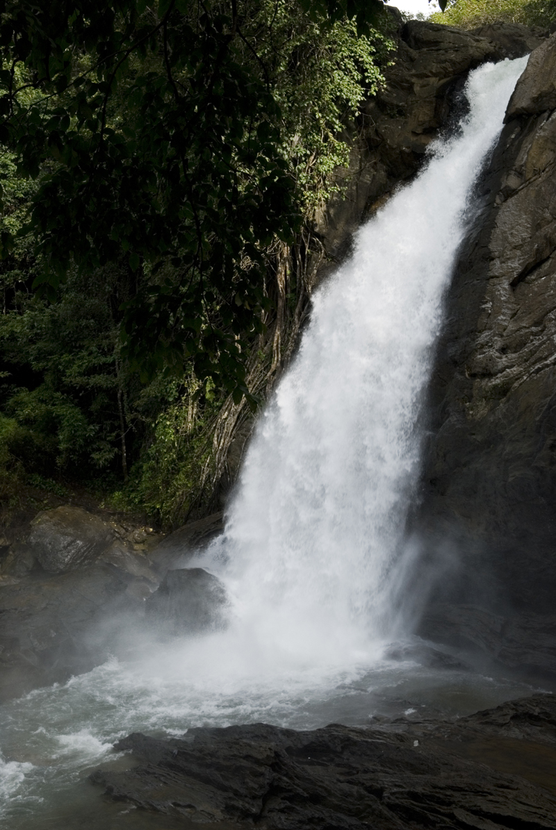 Soochipara Sentinel Rock Waterfall Meppadi Wayanad — three-tiered cascade dropping 200 metres in dense forest Western Ghats Kerala