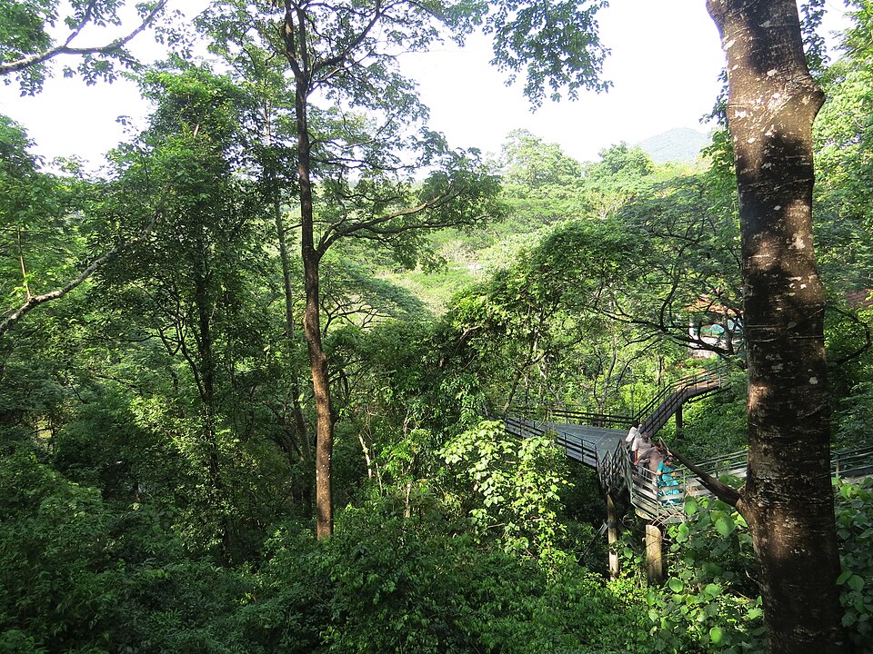 Thenmala eco-tourism area in Kollam district Kerala — India's first planned eco-tourism destination at the foothills of the Western Ghats adjacent to Shendurney Wildlife Sanctuary