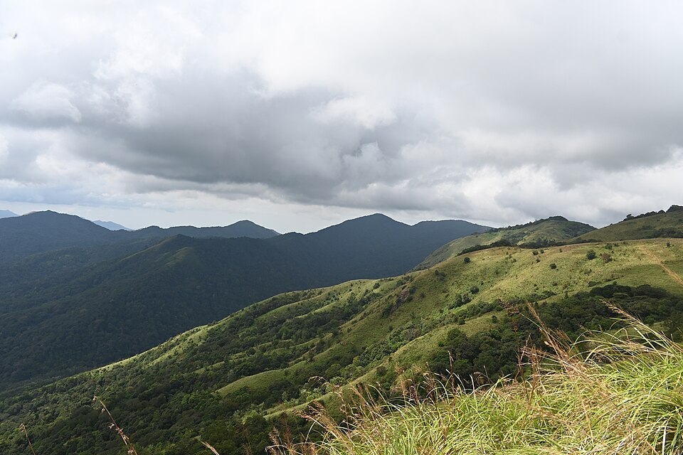 The forest route from Thirunelly to Brahmagiri Hills in Wayanad Kerala — a key birdwatching trail through the Nilgiri Biosphere Reserve with endemic Western Ghats birds and the Pakshipathalam cave system
