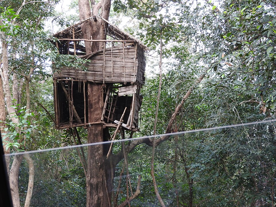 Tree hut at Peppara Wildlife Sanctuary Thiruvananthapuram Kerala — elevated forest stay inside the Agasthyamala Biosphere Reserve, managed by the Kerala Forest Department VSS programme